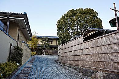 《星之卡比 探索发现》加鲁鲁菲 累计被击杀超10亿只